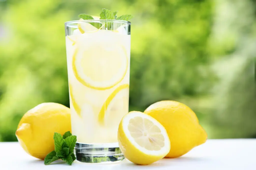 LIMONADE(jus de citron-sucre de canne-eau gageuse)