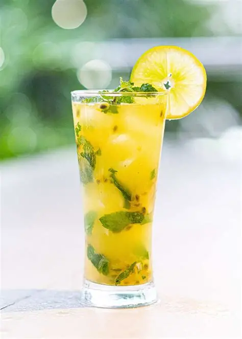 MOJITO PASSION(Feuille de menthe-citron-sucre de canne - passion)