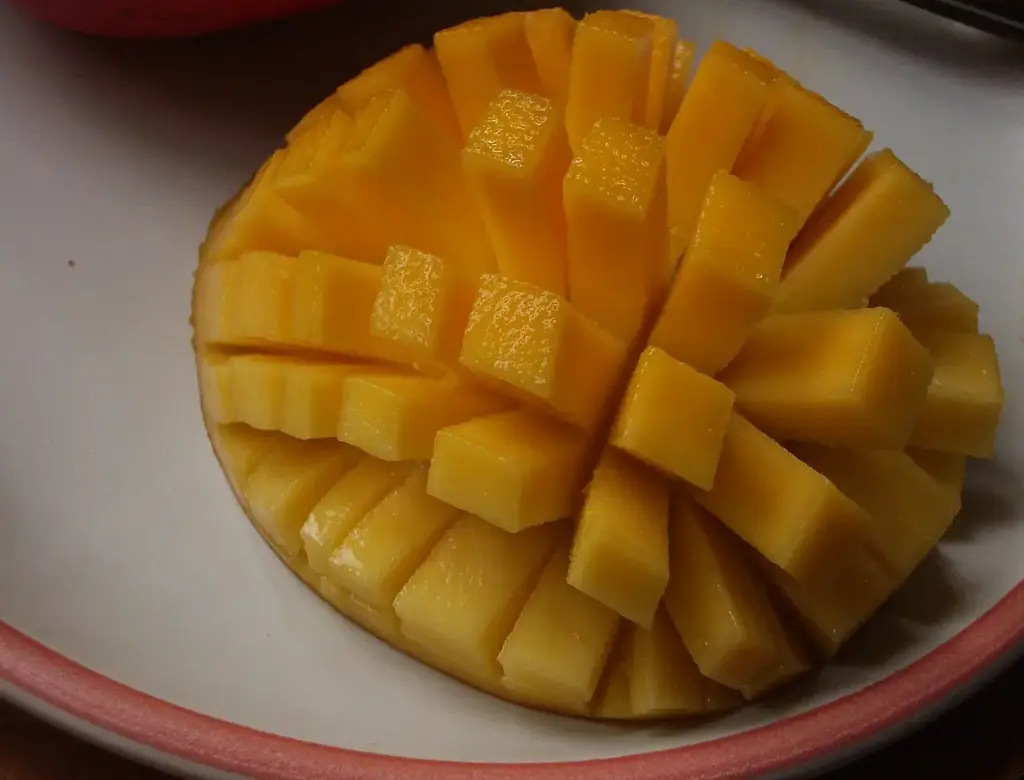FRUITS MANGUE
